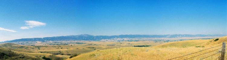 [Three photos stitched together displaying an expanse of rolling hills with light-color grasses growing.]